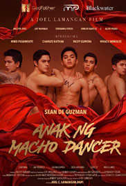 Son of Macho Dancer