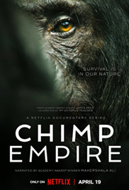 Chimp Empire