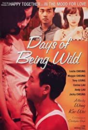 Days of Being Wild