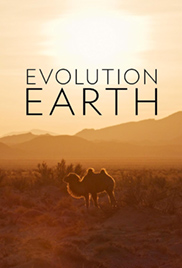 Evolution Earth