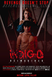 Indigo: Reimagined