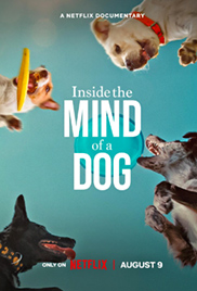 Inside the Mind of a Dog