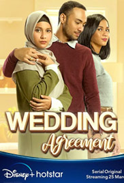 Wedding Agreement: The Series